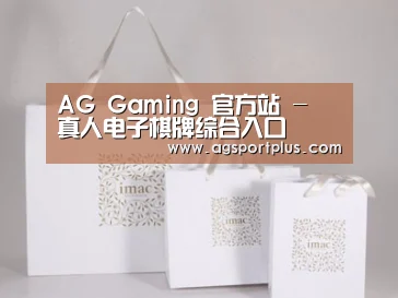 项目名称十一