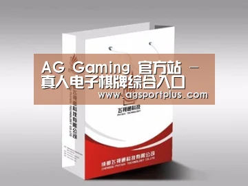 项目名称十三
