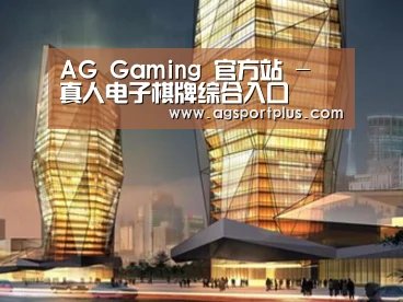 案例展示三
