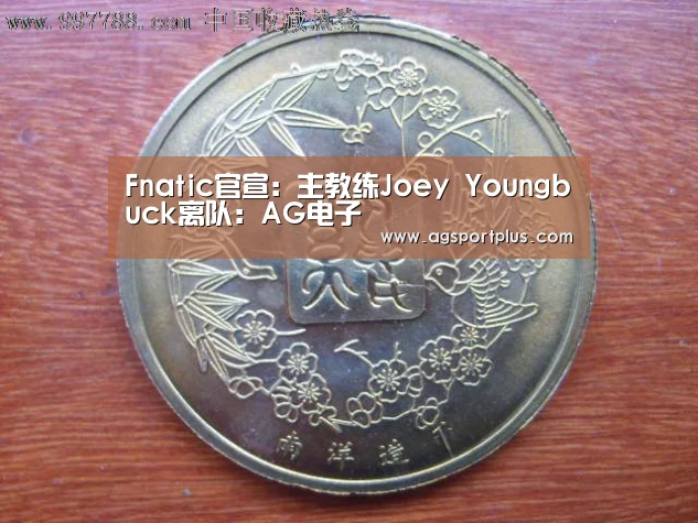 Fnatic官宣:主教练Joey Youngbuck离队:AG电子(图2) AG电子